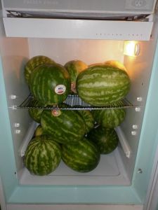 Thank you for all the donations of watermelon, they are a great snack!