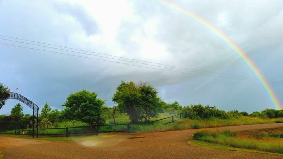 st volodymyr RAinbow